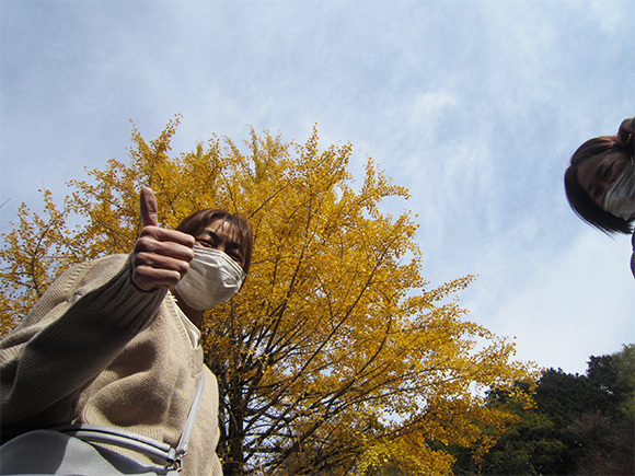 写真：紅葉狩り